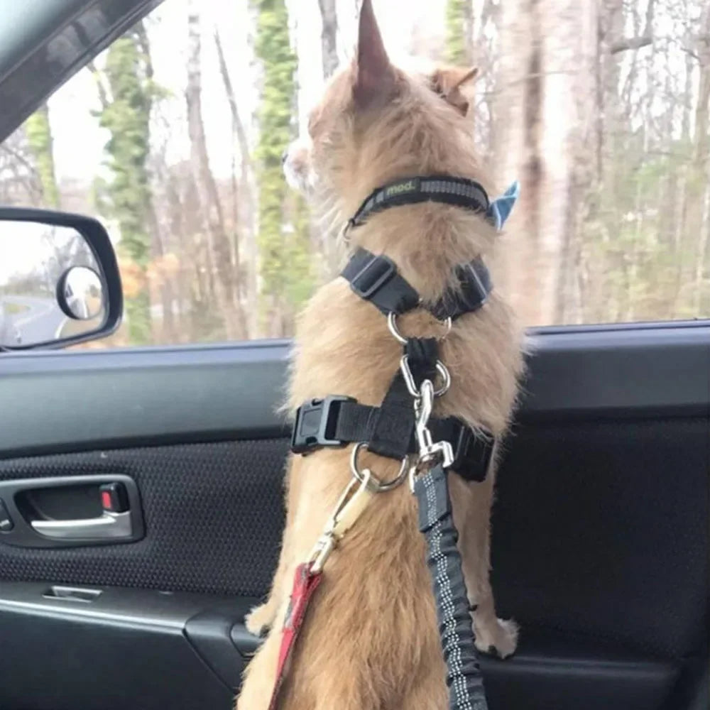 Pet Supplies Car Seat Belt Dog Seat Belt Dog Leash Vehicle Belt Adjustable Cushioning Elastic Reflective Safety Rope for Dog Cat